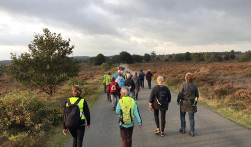Samen wandelen met andere enthousiaste lopers? Dat kan!