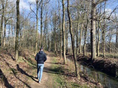 Actief de lente in met onze beweegchallenge!