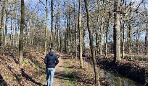 Actief de lente in met onze beweegchallenge!