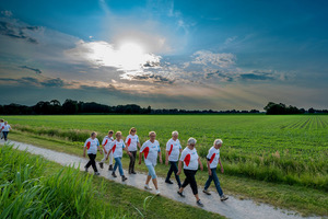 Wandel mee tijdens de Nationale Wandeluitdaging 2025!